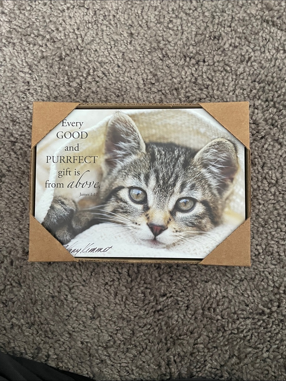 Simply Be Tabby Kitten Print - Cream, Tan, Gray